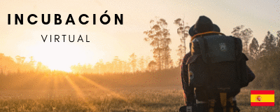 Incubación Virtual