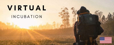 Virtual Incubation
